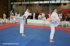 6-taekwondo